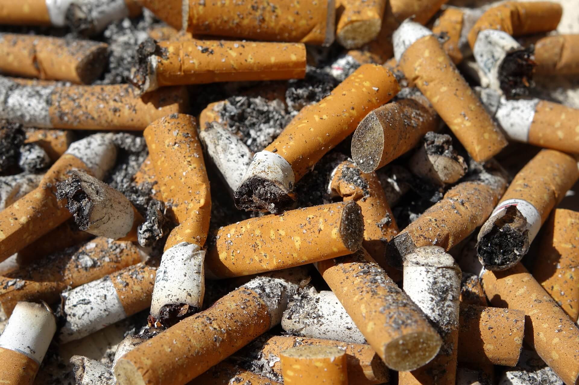 Nuevo Siglo Nuevo Siglo