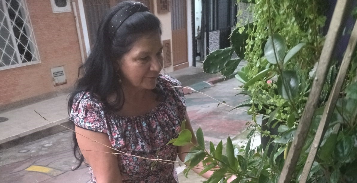 Nuevo Siglo Nuevo Siglo