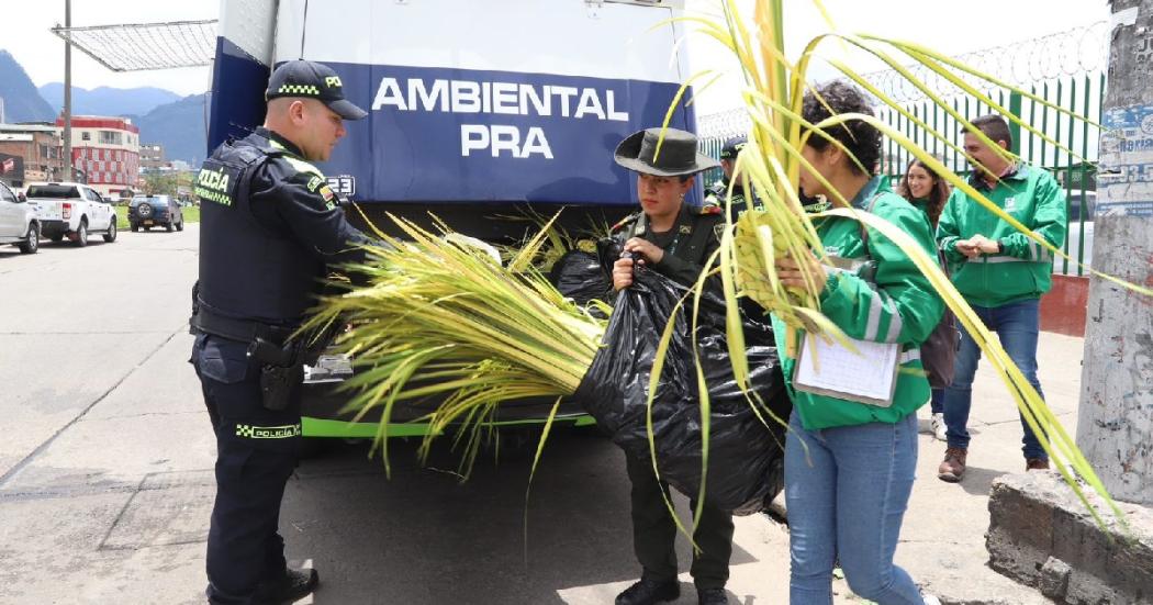 Nuevo Siglo Nuevo Siglo