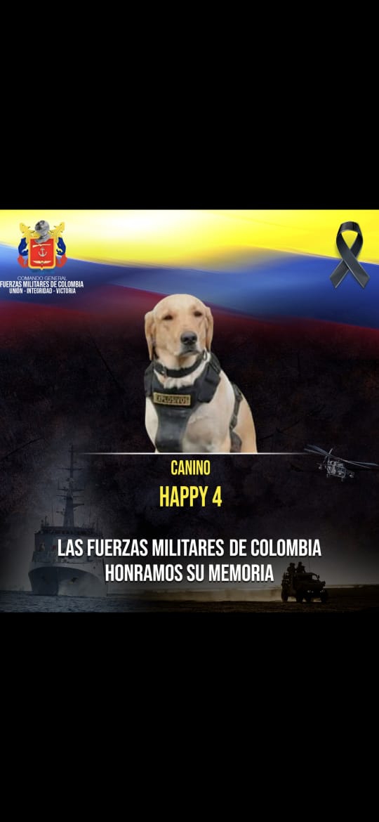 Nuevo Siglo Nuevo Siglo