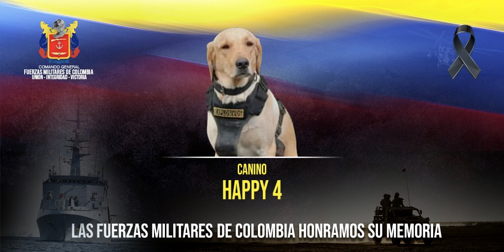 Nuevo Siglo Nuevo Siglo