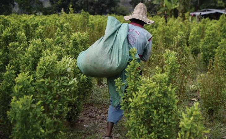 antidrogas a Colombia