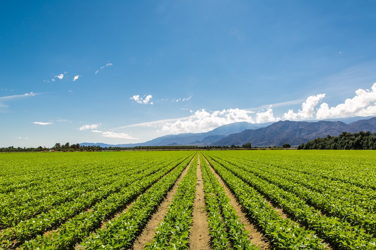 tecnología agrícola