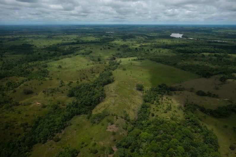 panorámica cultivo en Colombia 