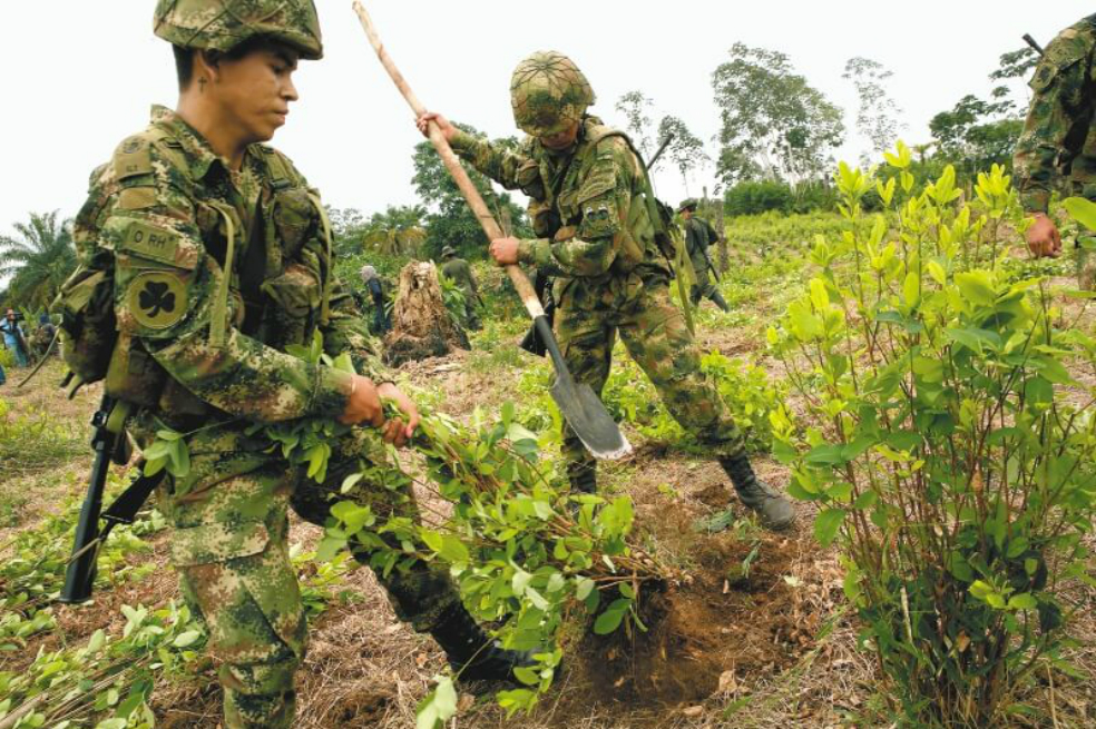 Erradicación de cultivos ilícitos / Policía Nacional de Colombia 