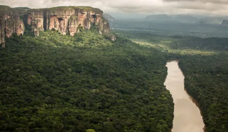 Amazonia