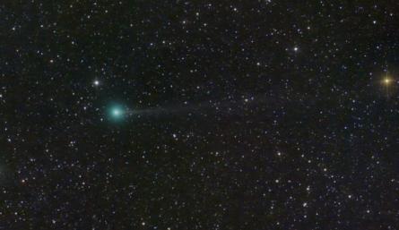 Cometa Nishumura