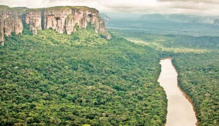 Vista de la Amazonia