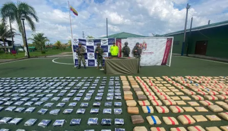 Toneladas de marihuana