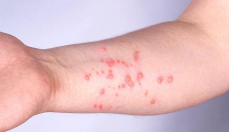 Nuevo Siglo Nuevo Siglo