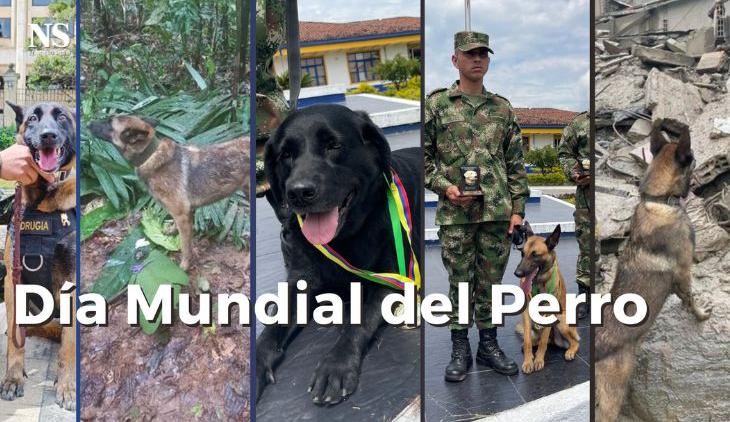 Nuevo Siglo