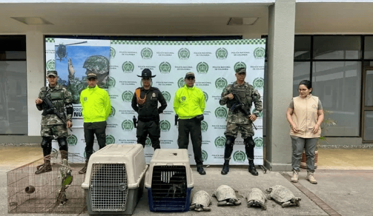 Nuevo Siglo