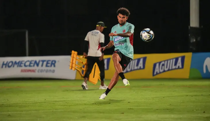 Selección Colombia, eliminatoria mundialista