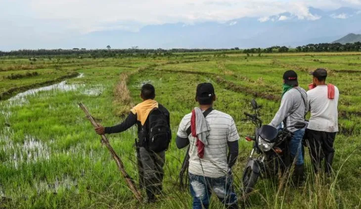 Créditos agropecuarios