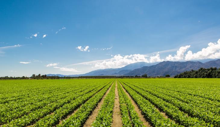 tecnología agrícola
