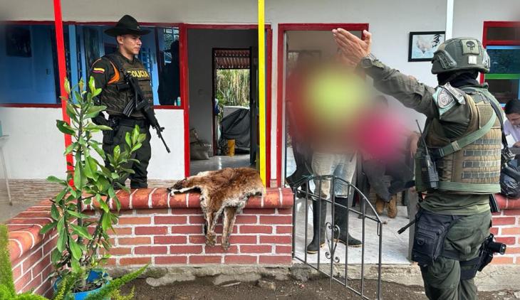 muerte de un puma
