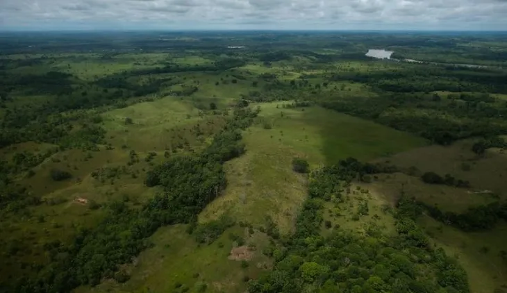 panorámica cultivo en Colombia 