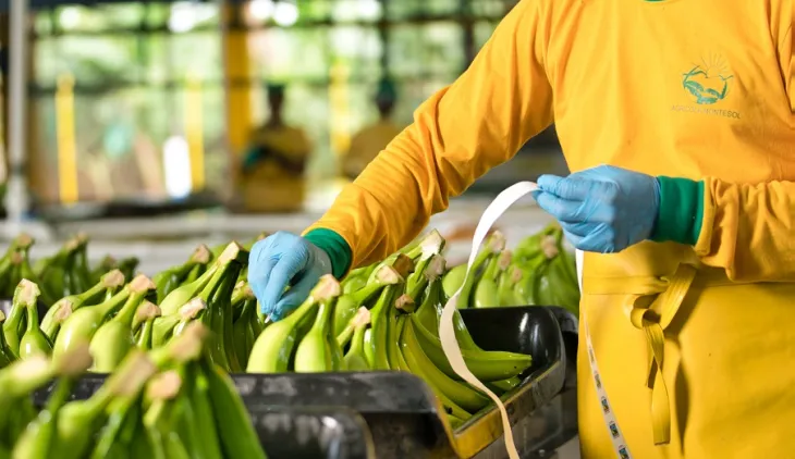 exportaciones colombianas