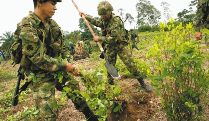 Erradicación de cultivos ilícitos / Policía Nacional de Colombia 